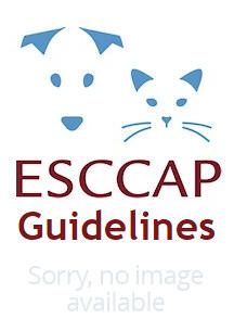 Exotic Diseases Pet Owner Info Sheet