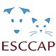 ESCCAP UK & Ireland Hydatid disease  News Item