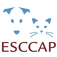 ESCCAP UK & Ireland News Item