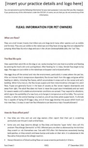 Fleas Pet Owner Info Sheet - practice letterhead version