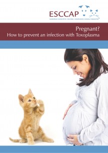 Pregnant? How to prevent an infection with Toxoplasma