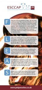 Fleas Leaflet