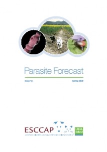 Issue 13: Spring 2020 Parasite Forecast
