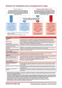 Scheme for individual deworming of dogs