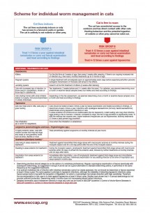 Scheme for individual deworming of cats