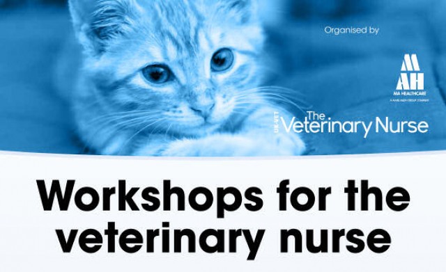 Workshops for the veterinary nurse