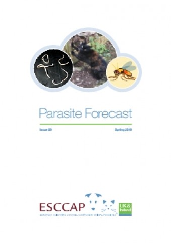 Spring/Summer Parasite Forecast: Issue 9