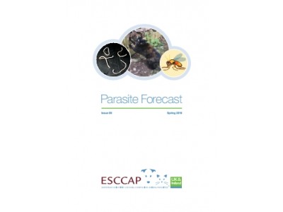 Spring/Summer Parasite Forecast: Issue 9