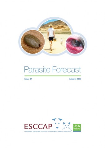 Autumn Parasite Forecast: Issue 7