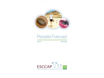 Autumn Parasite Forecast: Issue 7