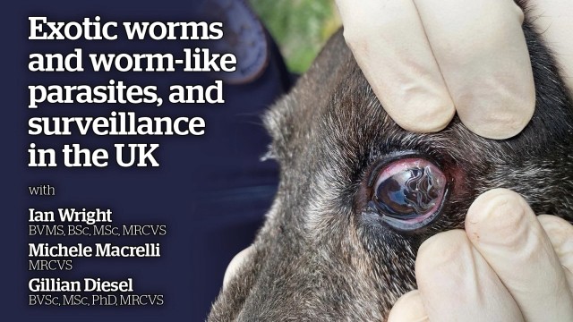 Exotic worms and worm-like parasites, and surveillance in the UK