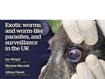 Exotic worms and worm-like parasites, and surveillance in the UK