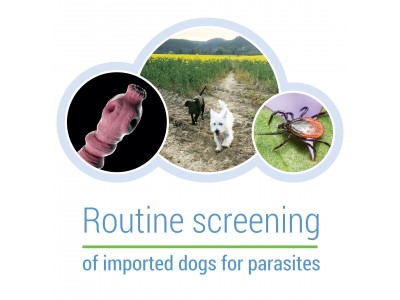 Routine screening of imported dogs for parasites