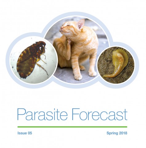 Spring Parasite Forecast: Issue 5