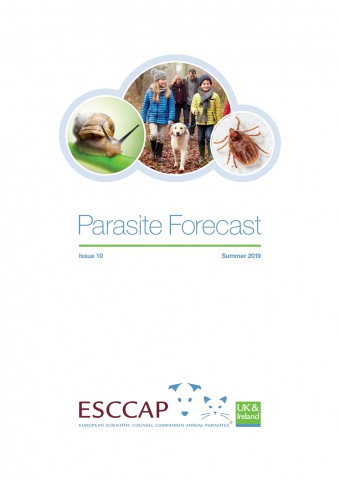 Summer Parasite Forecast: Issue 10