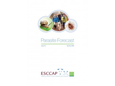 Summer Parasite Forecast: Issue 10