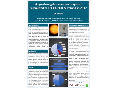 Angiostrongylus vasorum poster