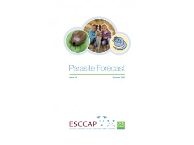 Summer 2020 Parasite Forecast: Issue 14